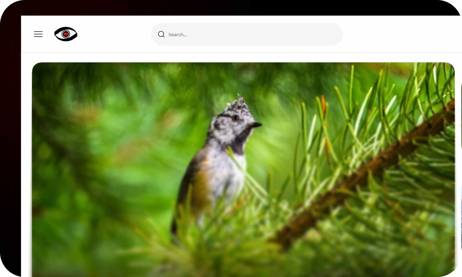 iLoveView mockup 3